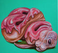 “Donut Disguise” 12x12 Acrylic On Canvas