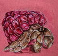 “Hermies Series” 6x6 Acrylic On Canvas